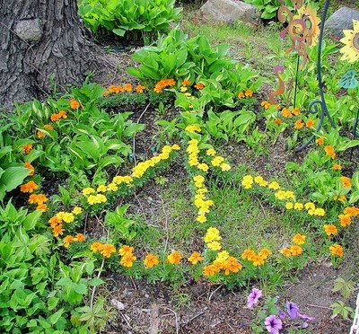 flower_power flower_power