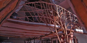 Whole-Tree-Architecture-2