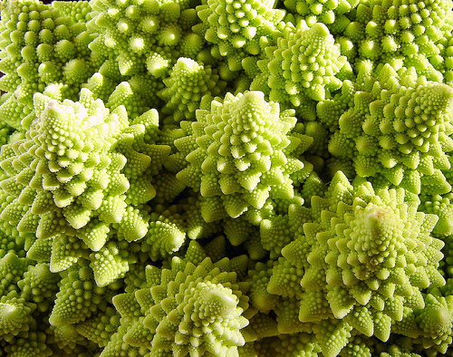 vegetable_meets_mathematics