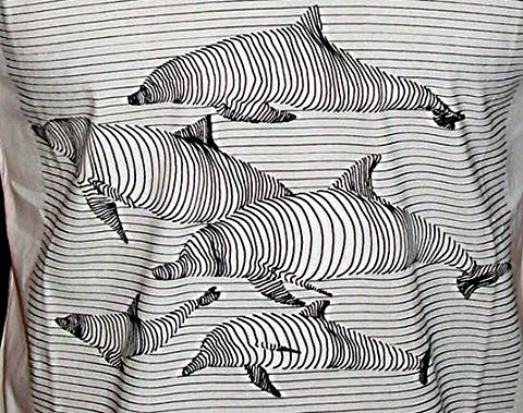 dolphin