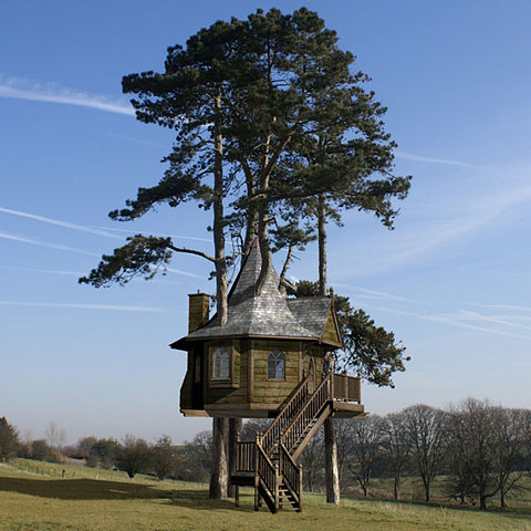 treehouse